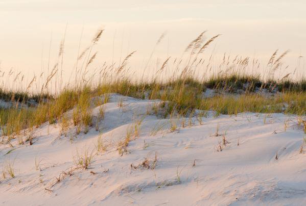 Thing To Do Beaches & Parks