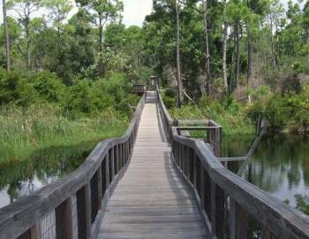 Things To Do Big Lagoon State Park