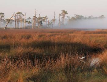 Things To Do Gulf State Park